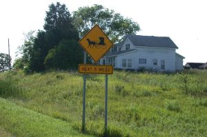 Another Symbol of Amish Country.